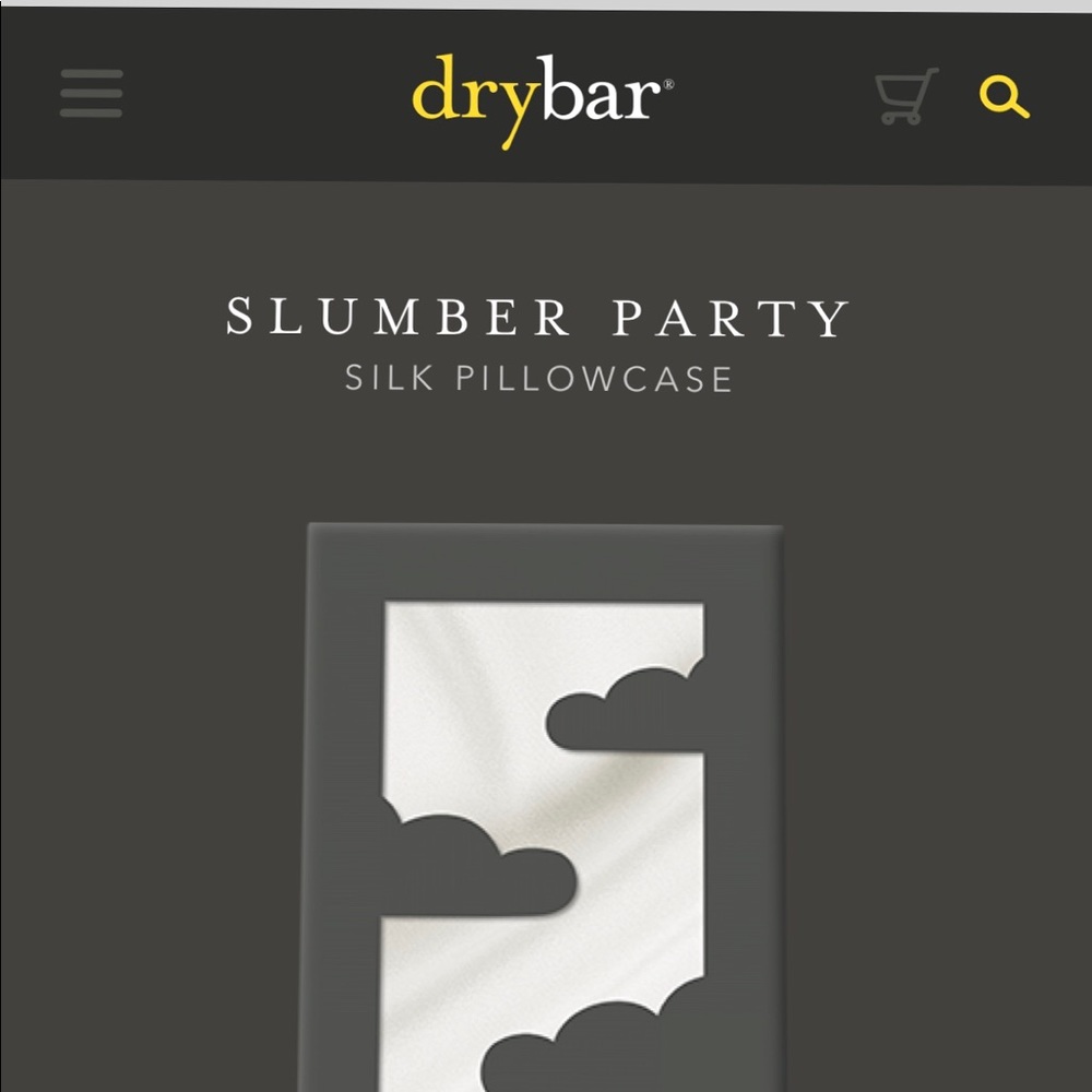 SOLD OUT Drybar Slumber Party Silk Pillowcase